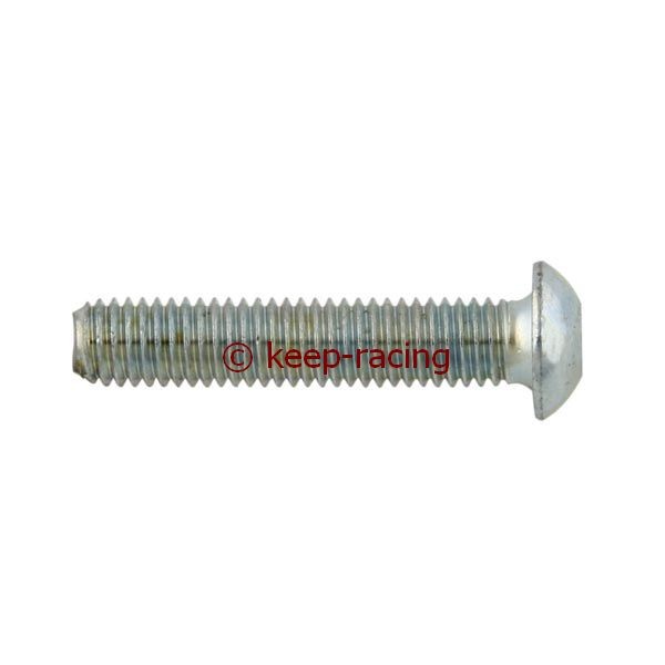 fillister head screw m6x25mm inside hexagon aluminium zincplated